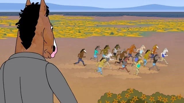 Bojack watching horses run